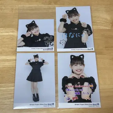 안쥬르므 고토 하나 헬로! 윈 2023 브로마이드 세트