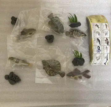 원색 담수어 도감 6종