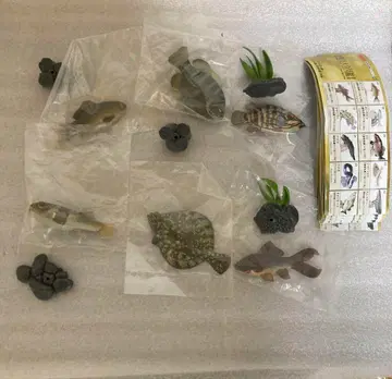 원색 담수어 도감 6종