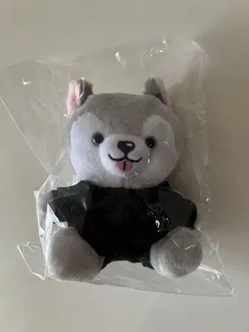 노키도아 토리이누 봉제 인형 SixTONES 마츠무라 호쿠토