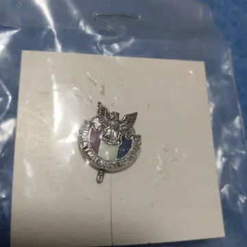 빈티지 보이 스카우트 미국 이글 훈장 핀 배지