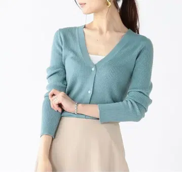 Demi-Luxe BEAMS 리브 V넥 가디건