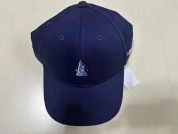 WDW 판타지아 캡