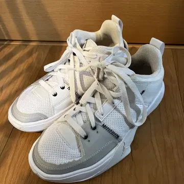 Jordan 농구화