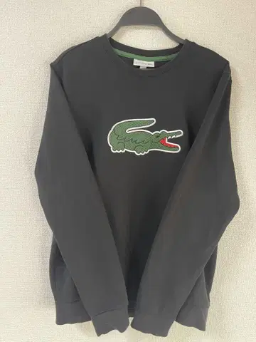 LACOSTE 라코스테 로고 트레이닝복 로고 맨투맨 M 블랙