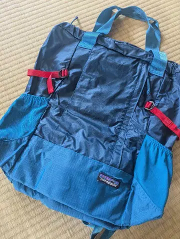 patagonia 백팩 파랑
