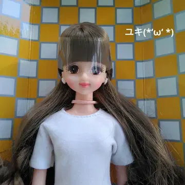 초대 제니 컨트리 모델 3 리카짱 캐슬 상자 없음