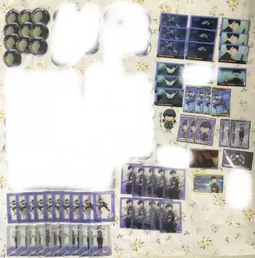 호시나 소우시로 묶음 판매 즉시 구매