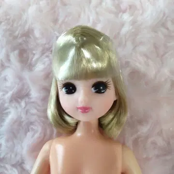 리카짱 인형 본체