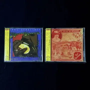 일본 국내반 서울 신지케이트 SOUL SYNDICATE 알 치나 스미스