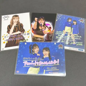 이쿠타 에리나 이시다 아유미 콜렉션 사진 등 4장 묶음 판매