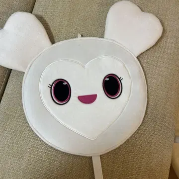 TWICE 다현 다브리 부채 케이스