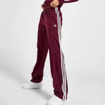adidas 아디컬러 클래식 파이어버드 트랙 팬츠
