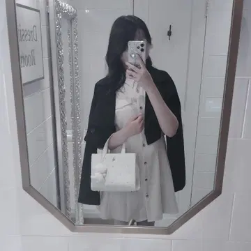 왕홍 원피스 ZARA