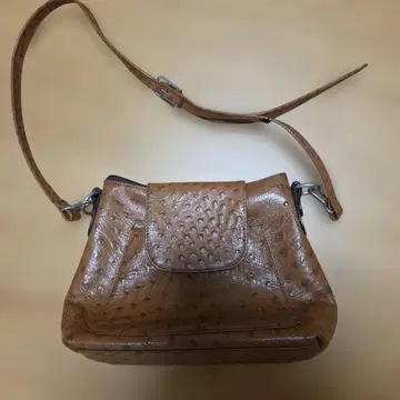 크로커다일풍 브라운 백