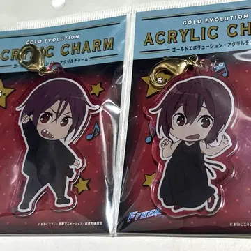 Free! GOLD EVOLUTION 아크릴 참 린 마츠오카