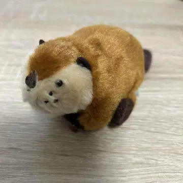 비버짱 봉제 인형