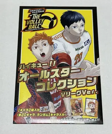 하이큐 V리그ver 올스타 컬렉션 금박 카드 미개봉