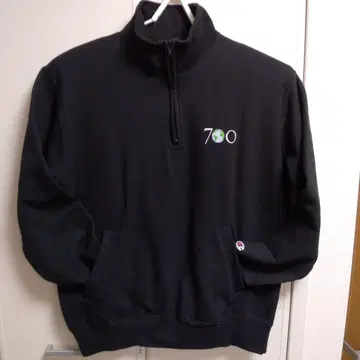 700FILL Earth Logo Half Zip Pullover L
