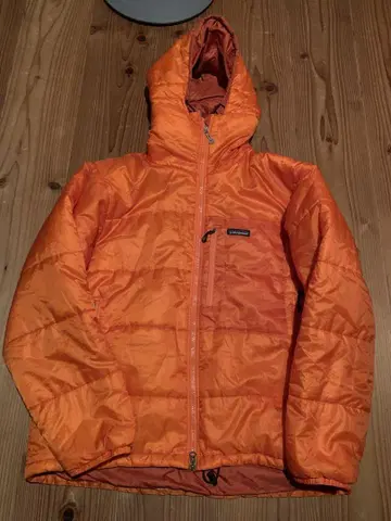 patagonia 더스파카