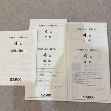 사피 먼슬리 확인 테스트 4년