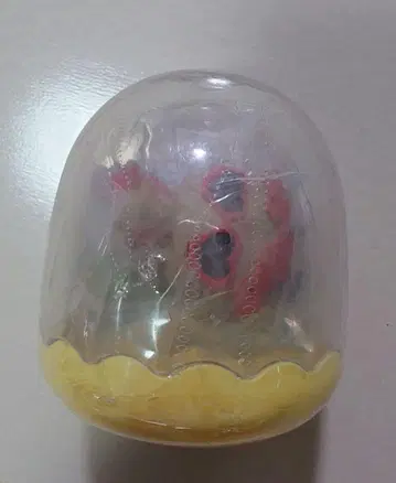 젬리즈 일광화상 키티