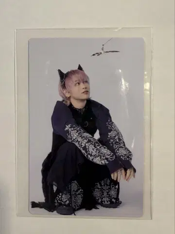 초특급 NINE LIVES 최초 한정 멤버 솔로판 슈야 트레이딩 카드