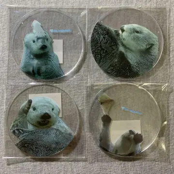 도바 수족관 메이 키라 코스터 x 4