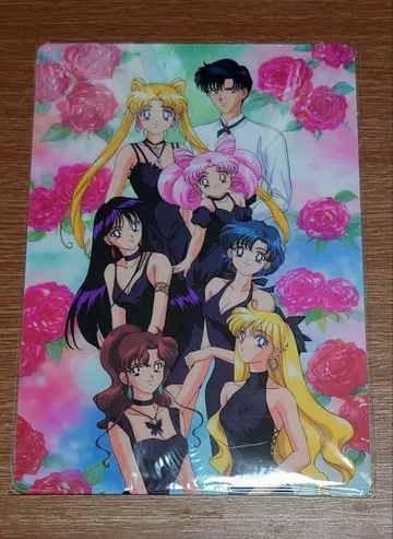 세일러문 SS 책받침