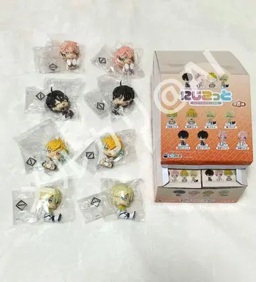 니지산지 오리엔스 니지코토 컴플리트 BOX