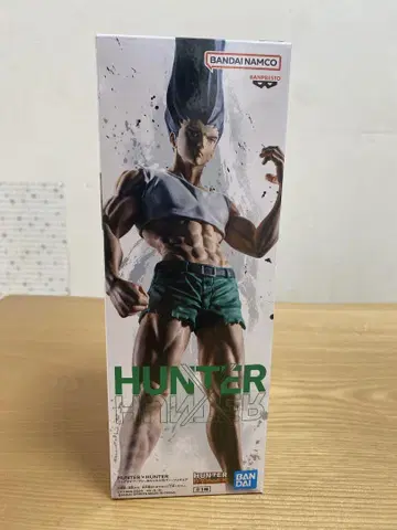 HUNTER x HUNTER 곤 피규어