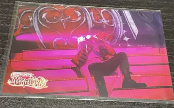 아마츠키 일본 무도관 라이브 DVD 특전 사진 브로마이드