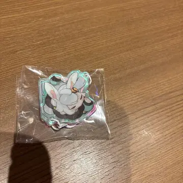 tgs2025 회장 한정판 무한대 아크릴 키링