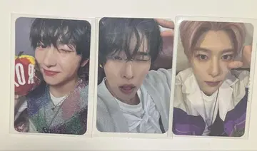 nctwish 시온 리쿠 사쿠야 트레이딩 카드 세트