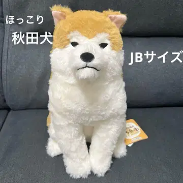 미사용 새상품 훈훈한 아키타견 하치베 봉제 인형