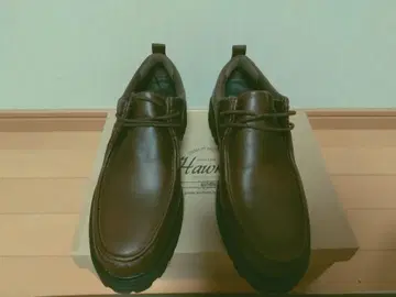 호킨스 로리안 타프모크