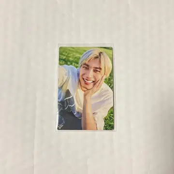 NINELIVES 아로하 솔로반 트레이딩 카드 초특급