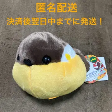복복 시마연가 가을 컬러 절호조 ST 츙스케 가을 컬러