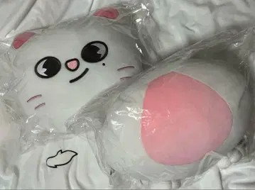 지니 레트 쿠션 세트