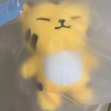 호시 탐탐 SEVENTEEN 봉제 인형 팝업