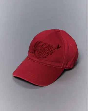 MASU BOYS CAP 레드