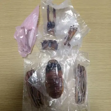 반다이 생물대도감 어드바이스 오오키바우스바카미키리 다크