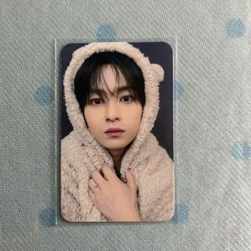 리노 Straykids 스키즈 KARMA FANS 프리리스 트레이딩 카드