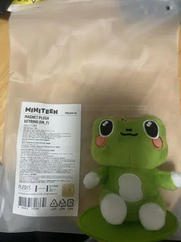 MINITEEN THEpalee 키링