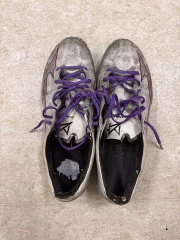 Mizuno 축구화 그레이/퍼플 알파 재팬 Japan