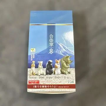 합장 5배