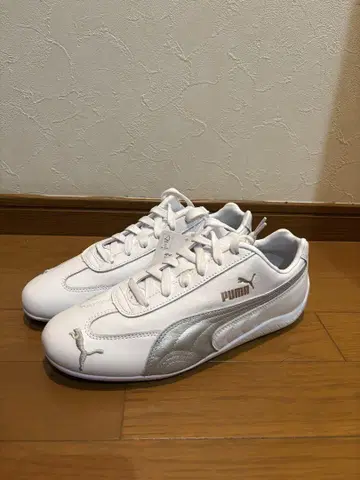 스피도 캣