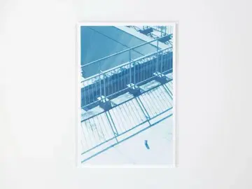 슬램덩크 x 포카리스웨트 엽서 슬램덩크 이노우에 다케히코 B