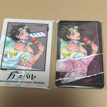 nu 카니발 카니 카라철 가루 2