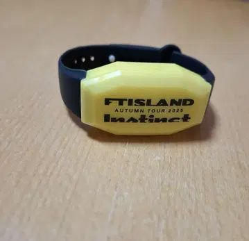FTISLAND LDE 팔찌 instinct 2025 투어 굿즈